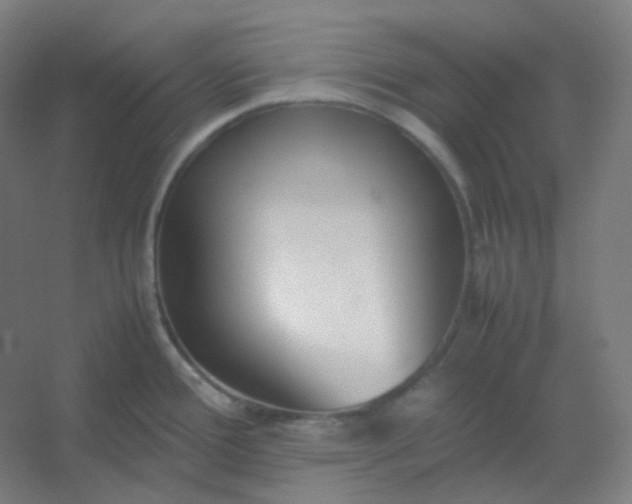 X0000054391388200508121621