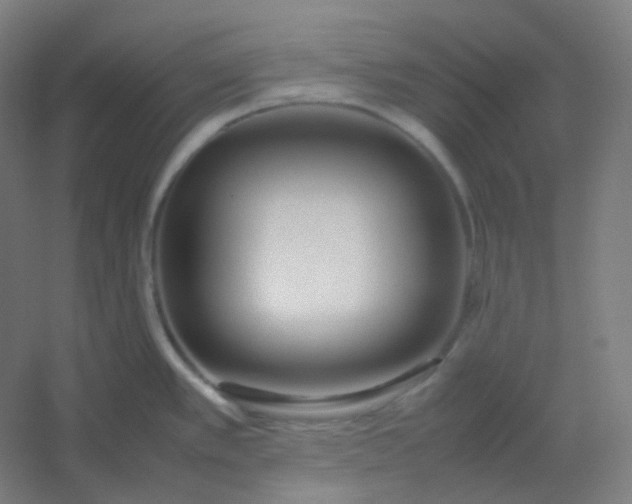 X0000054391389200508121621