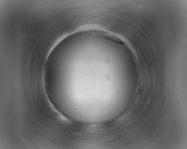 X0000054391390200508121621