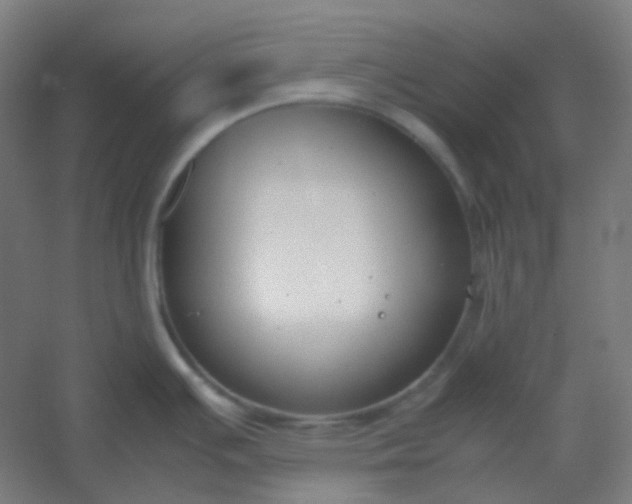 X0000054391391200508121621