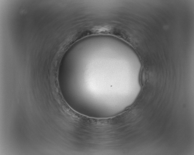 X0000054391393200508121620