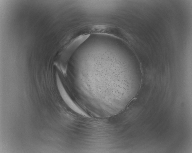 X0000054391394200508121620