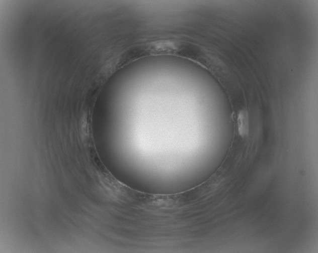 X0000054391395200508121620