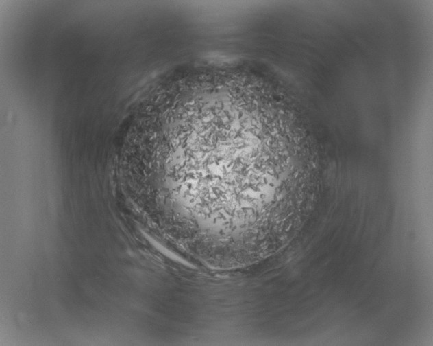 X0000054391397200508121620