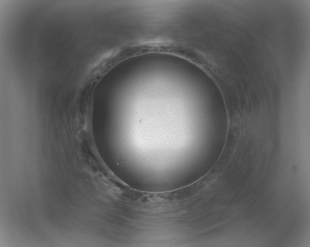 X0000054391398200508121620