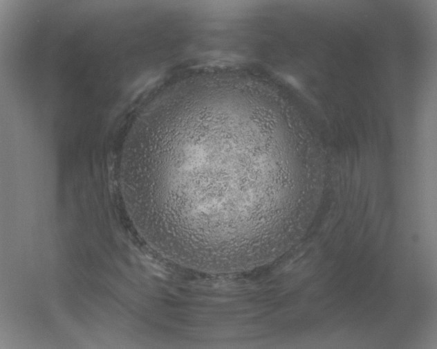 X0000054391399200508121620