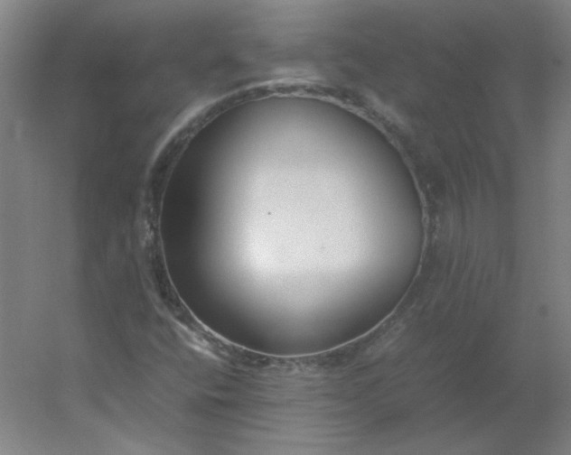 X0000054391400200508121620