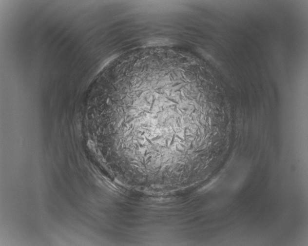 X0000054391401200508121620