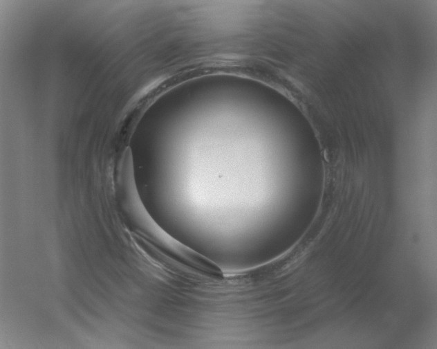 X0000054391402200508121620