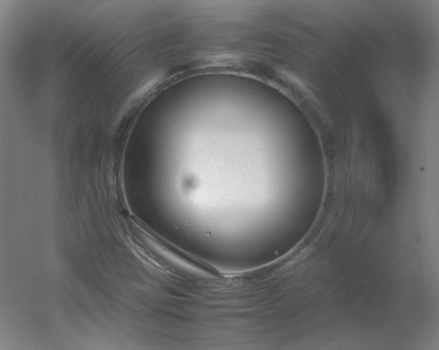 X0000054391403200508121620