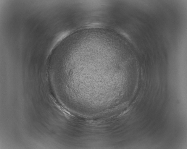 X0000054391405200508121620