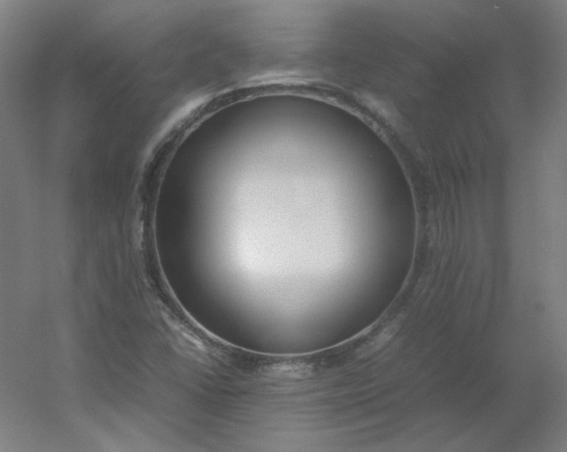 X0000054391406200508121620