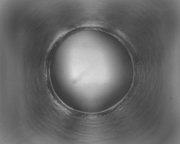 X0000054391408200508121620