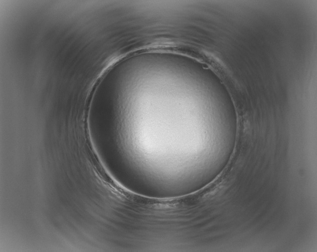 X0000054391409200508121620