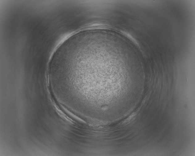 X0000054391413200508121621