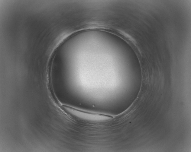 X0000054391415200508121621