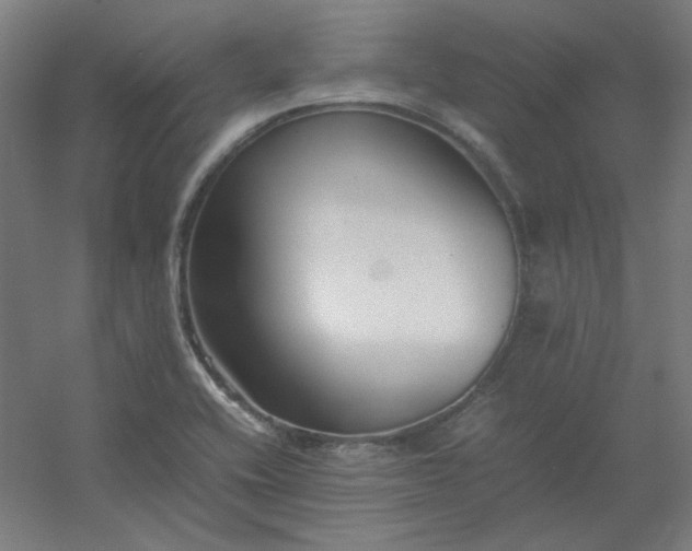 X0000054391416200508121621