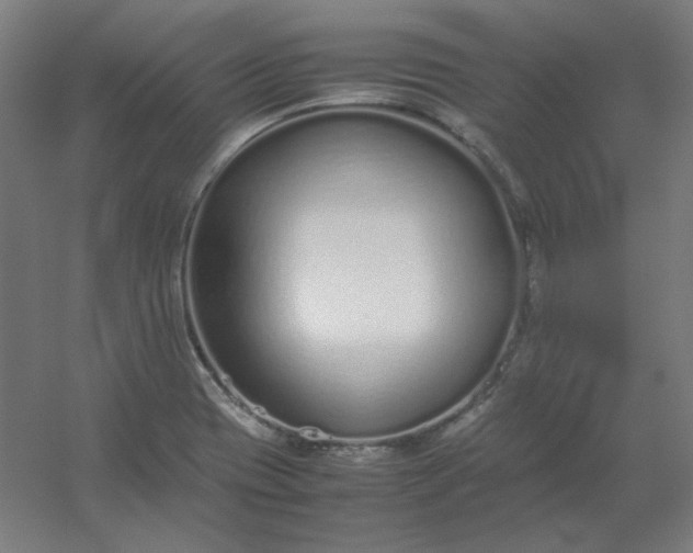 X0000054391417200508121621