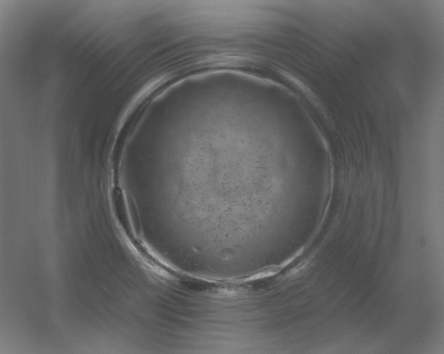 X0000054391418200508121621