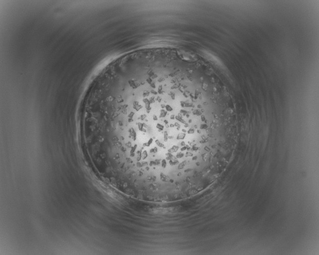 X0000054391419200508121621