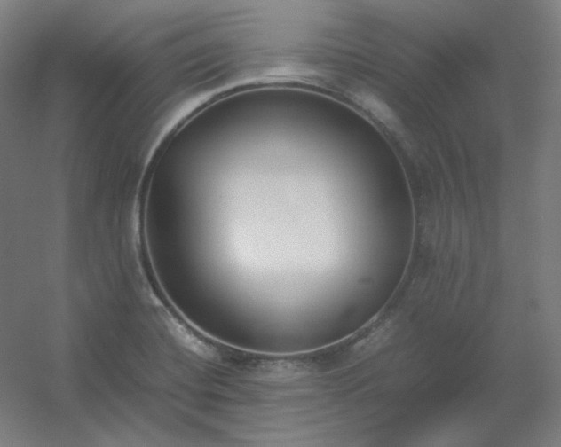 X0000054391420200508121621