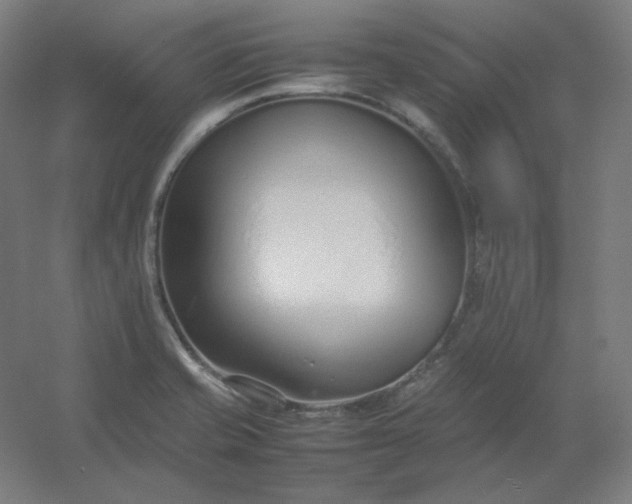 X0000054391421200508121621