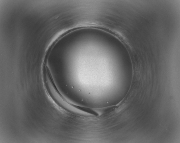 X0000054391422200508121621