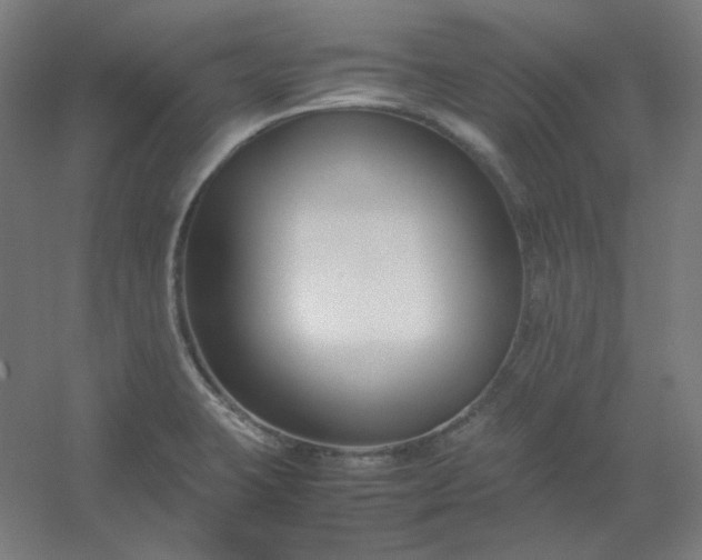 X0000054391423200508121621