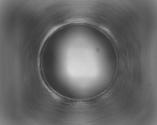 X0000054391424200508121621