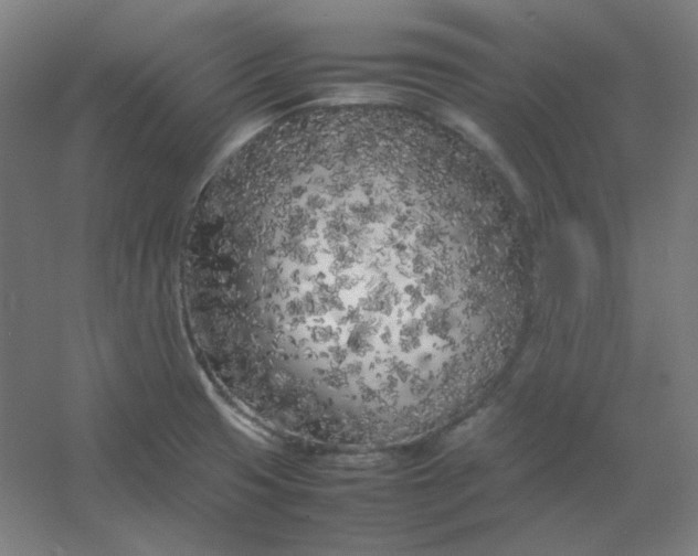 X0000054391425200508121621