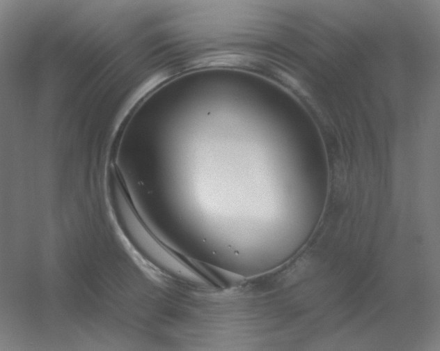 X0000054391426200508121621