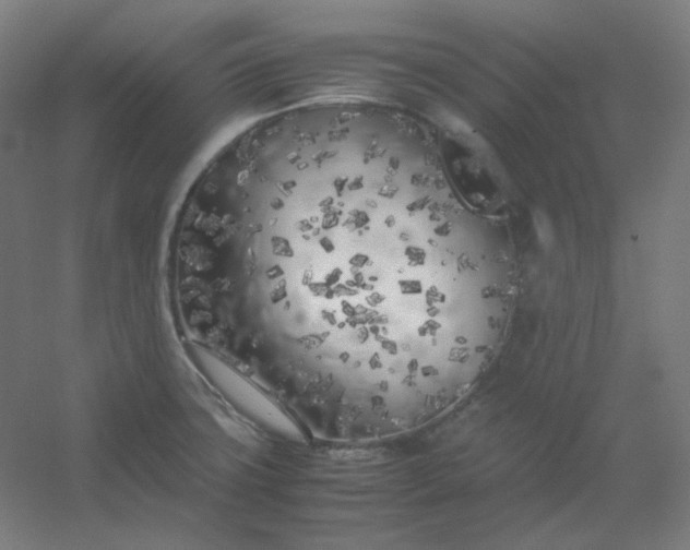 X0000054391427200508121621