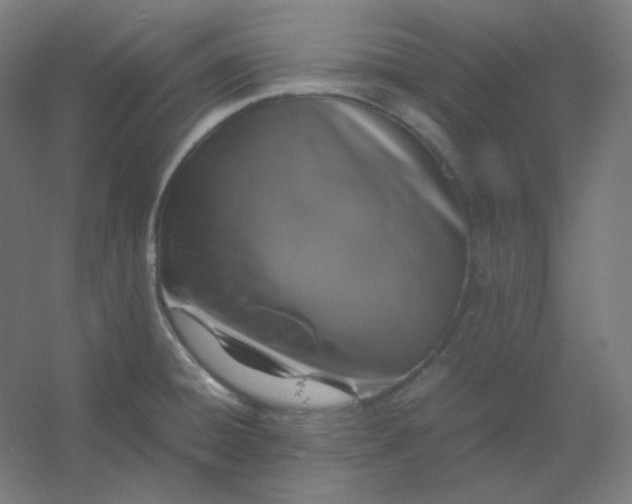 X0000054391428200508121621