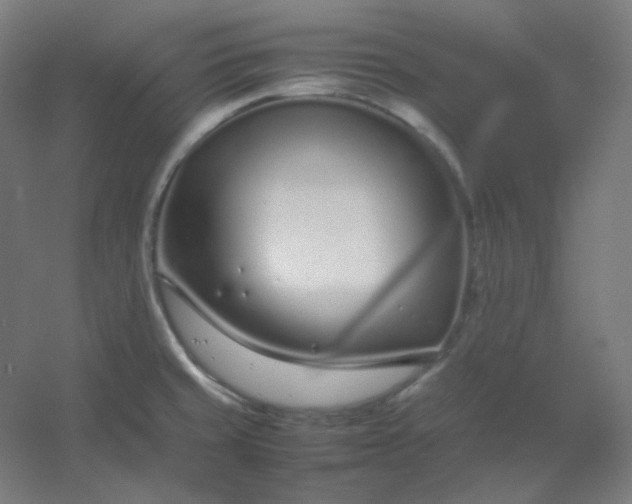 X0000054391429200508121621