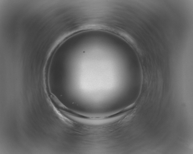 X0000054391430200508121621