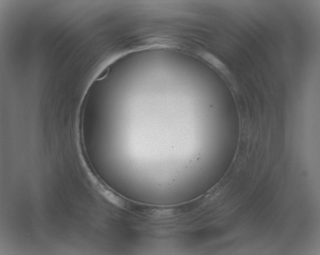 X0000054391431200508121621