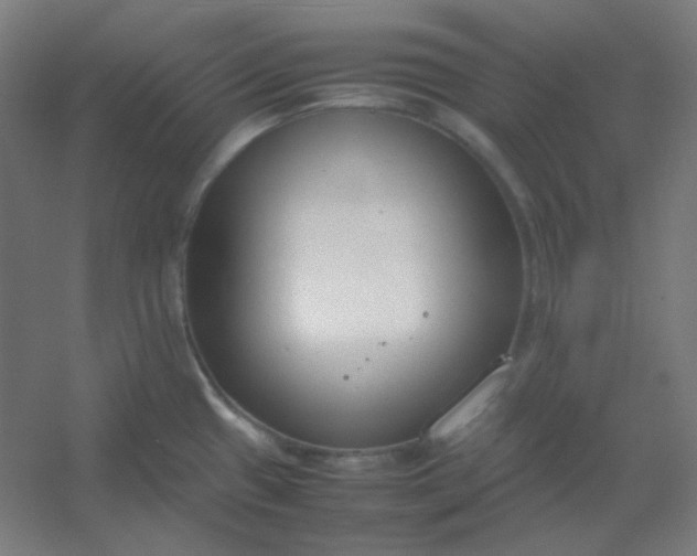 X0000054391433200508121621