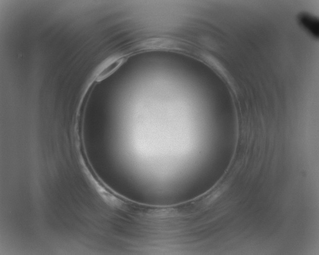 X0000054391434200508121621