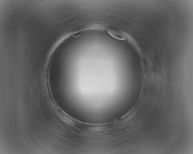 X0000054391435200508121621