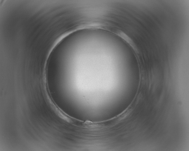 X0000054391436200508121621