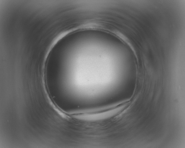 X0000054391437200508121621