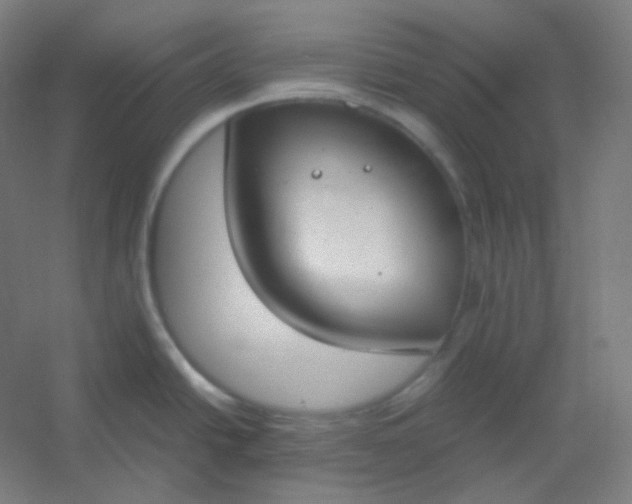 X0000054391438200508121621