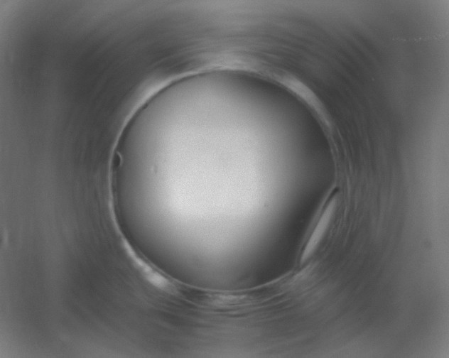 X0000054391439200508121621