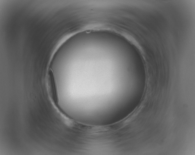 X0000054391440200508121621