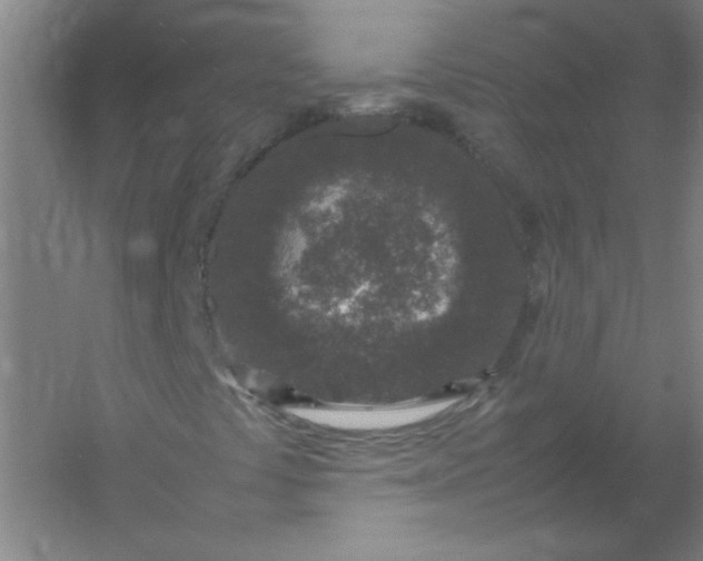 X0000054391441200508121620