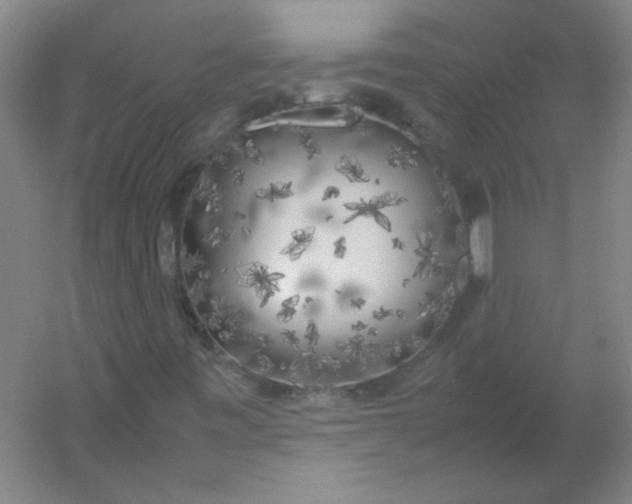 X0000054391443200508121620