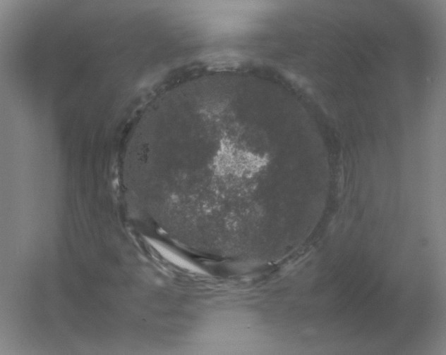 X0000054391445200508121620