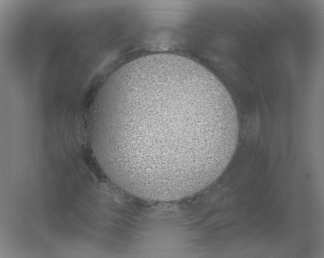 X0000054391446200508121620