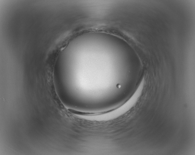 X0000054391447200508121620