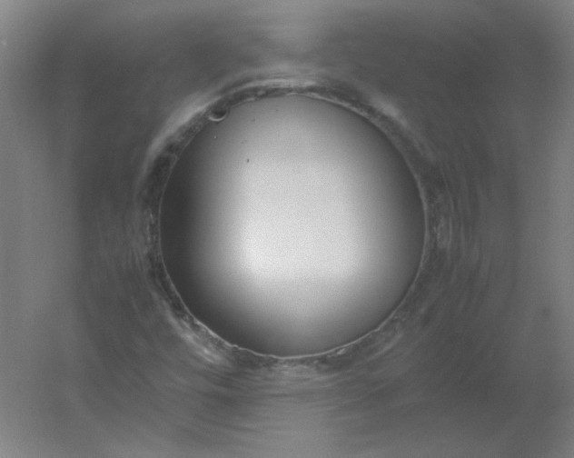 X0000054391448200508121620